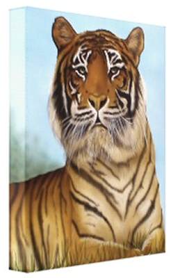 tiger portrait wrapped canvas print